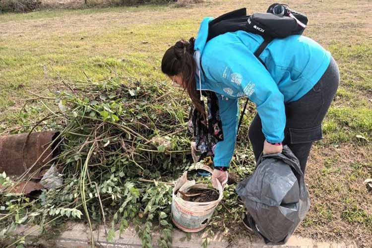 Dengue: piden intensificar el descacharrado en los hogares tras las lluvias