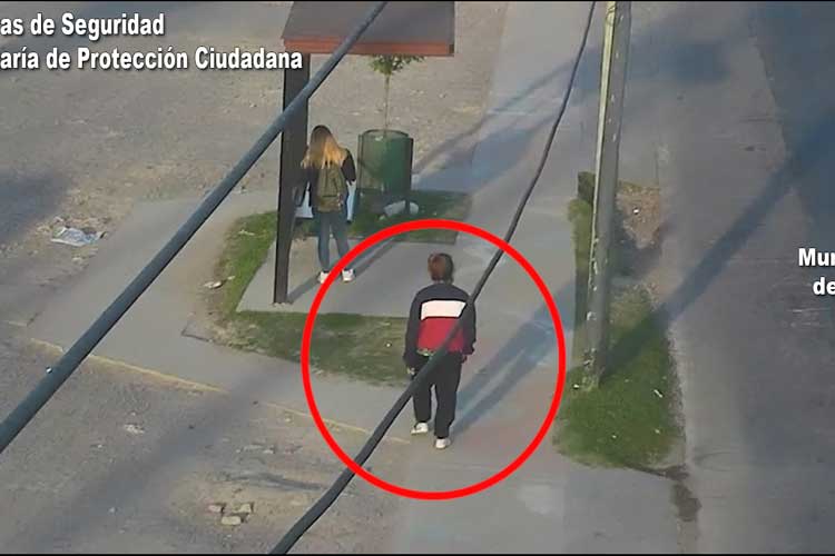 Detienen en Tigre a mujer con pedido de captura tras intentar robar celular en una parada de colectivos