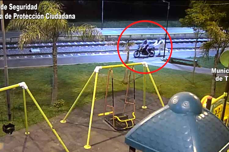 Detienen a dos ladrones tras el robo de una moto en Ricardo Rojas