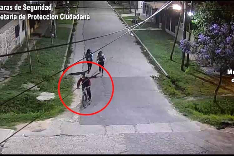 Benavídez: robó una bicicleta, lo siguieron por cámaras y fue detenido de inmediato