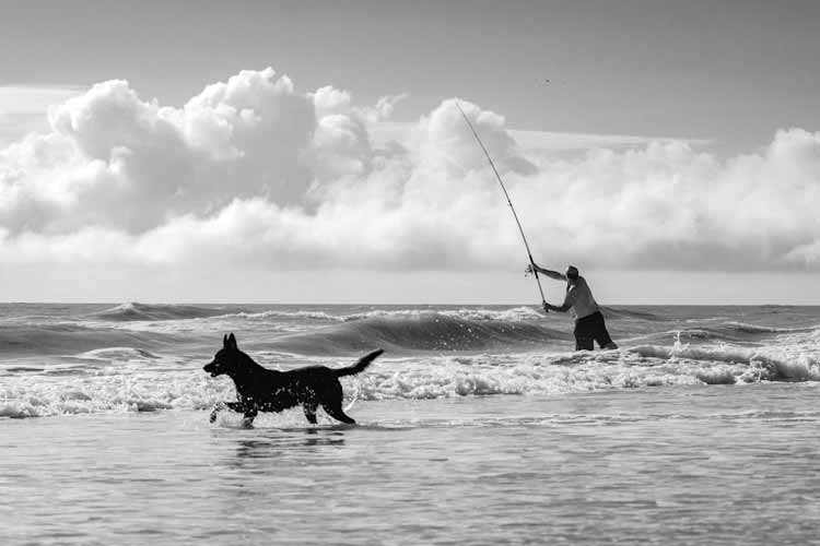 Necochea: un clásico de los veranos para que disfruten todos 