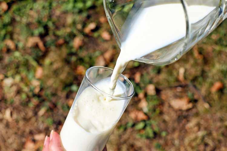 Valor nutricional y beneficios de la leche de vaca: claves para una dieta equilibrada