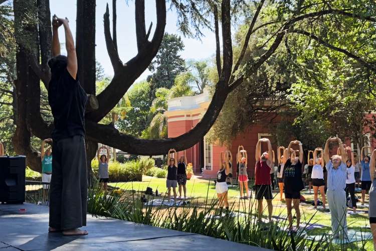 Yoga y artes marciales: Actividades de verano en Vicente López